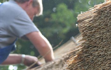 professional Toothill thatchers